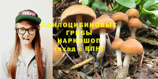 наркотики Михайловка