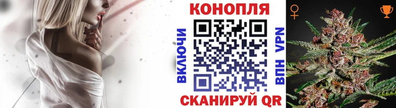 где можно купить   Змеиногорск  Шишки марихуана индика 